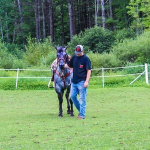 Meet your Posher, Wyatt